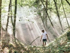 Bayerns W&auml;lder werden Teil der Gesundheitsversorgung: In Bayerns Kur- und Heilw&auml;ldern k&ouml;nnen Pr&auml;ventionsangebote k&uuml;nftig mit Zuschuss der Krankenkasse genutzt werden. M&ouml;glich macht das eine neue Kooperation des Bayerischen Heilb&auml;der-Verbands (BHV) mit der UNESCO-Biosph&auml;renregion Berchtesgadener Land. Foto: Gesundes Bayern/Daniel Zangerl