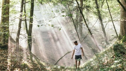 Bayerns Wälder werden Teil der Gesundheitsversorgung: In Bayerns Kur- und Heilwäldern können Präventionsangebote künftig mit Zuschuss der Krankenkasse genutzt werden. Möglich macht das eine neue Kooperation des Bayerischen Heilbäder-Verbands (BHV) mit der UNESCO-Biosphärenregion Berchtesgadener Land. Foto: Gesundes Bayern/Daniel Zangerl
