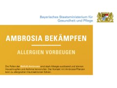 Ausschnitt Plakat Aktionsprogramm Ambrosia Bekämpfung des Bayerischen Staatsministeriums für Gesundheit und Pflege, © Bayerisches Staatsministerium für Gesundheit und Pflege