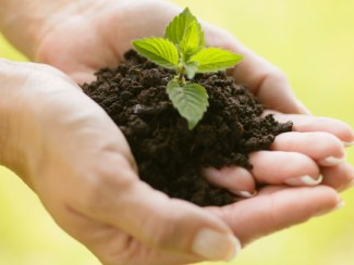 Eine Handvoll Moor, &copy; Bayerischer Heilb&auml;der-Verband e. V.